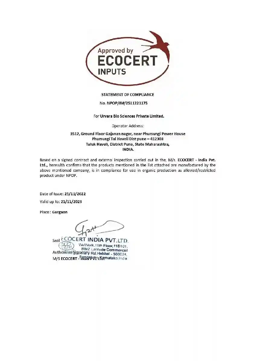 Rhizo Won - Rhizobium spp biofertilizer for Nitrogen fixation in the soil naturally for better absorption of Nitrogen