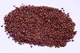 RK Seeds Hedge Lucerne Seeds - Fodder grass seeds , Velimasal Seeds , Grass seeds (Desmanthus virgatus seeds) Grass seeds for cattle, Fodder seeds, 1
