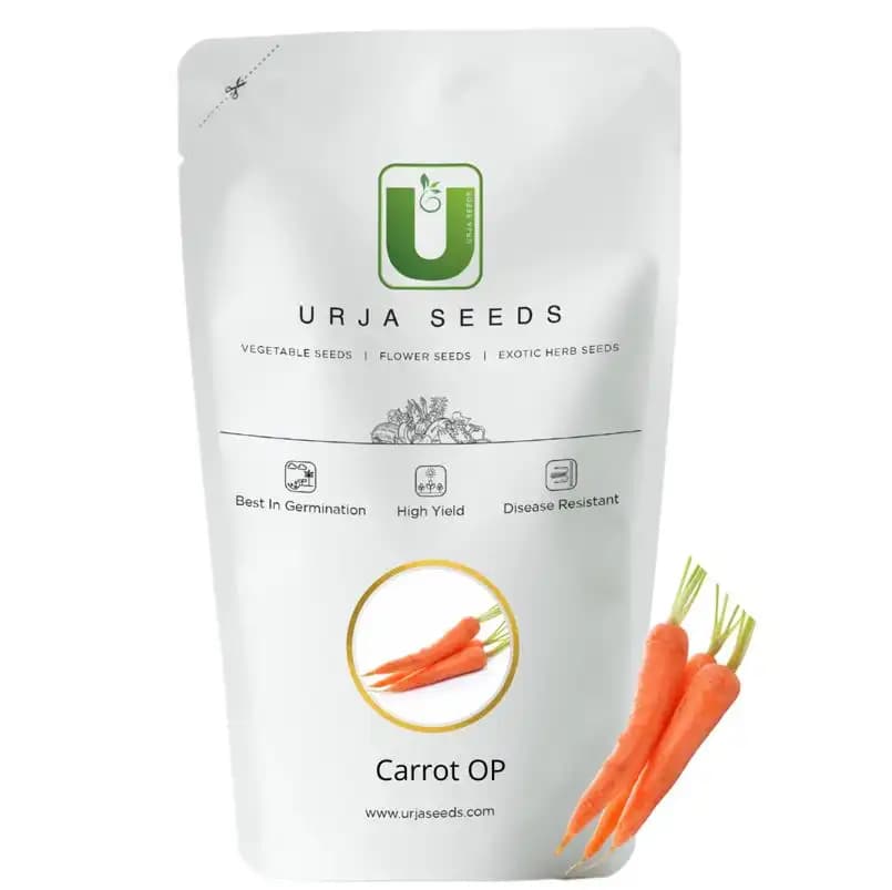 Urja Shin Kuroda OP Carrot Seeds, Smooth Deep Orange Roots, High Tolerance To Heat