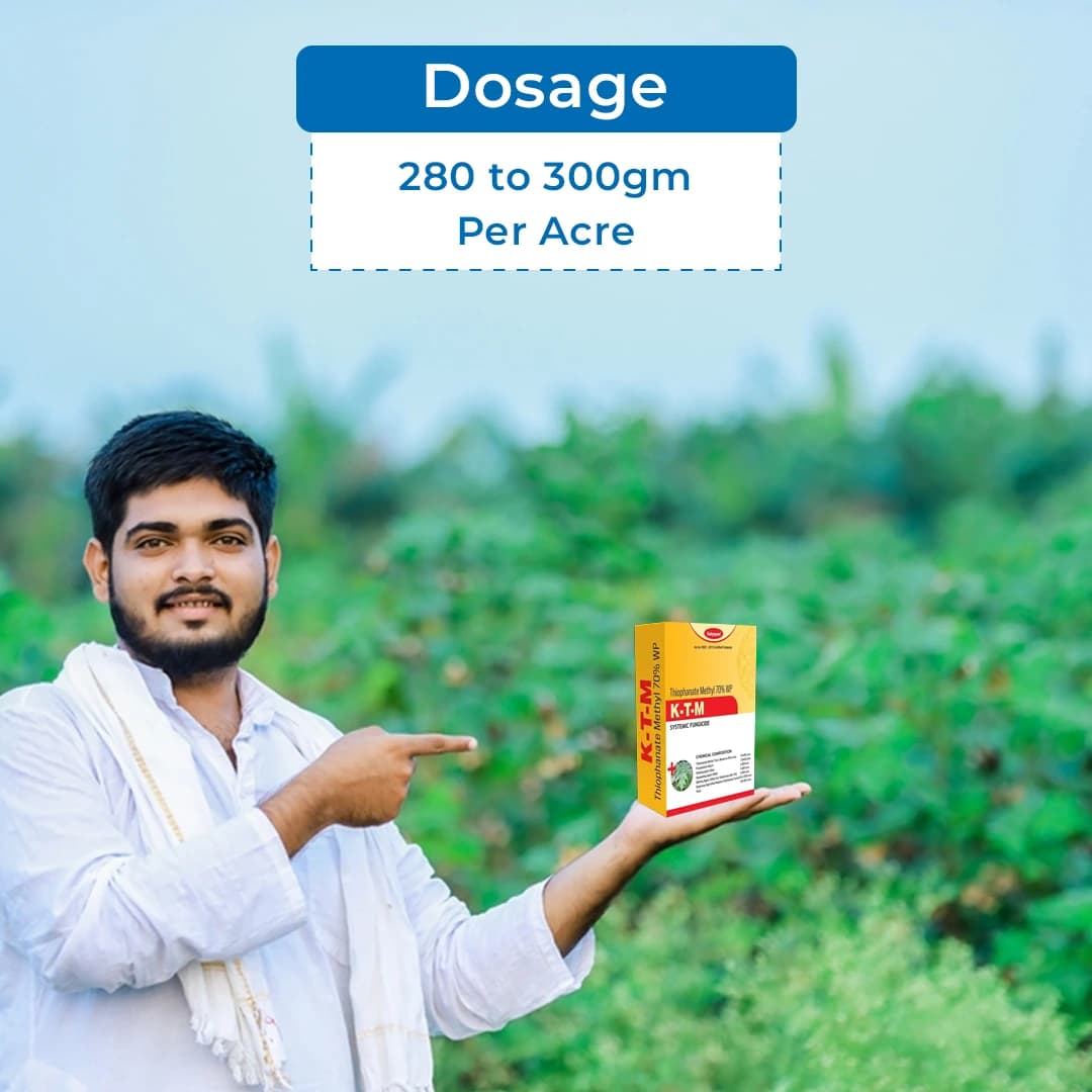 कात्यायनी के-टी-एम थायोफेनेट मेथाइल 70% डब्ल्यूपी, फफूंदनाशक - पौधों में आई स्पॉट, चूर्णिल आसिता,झुलसा ग्रे मोल्ड और एप्पल पपड़ी रोग नियंत्रण के लिए - Image 5
