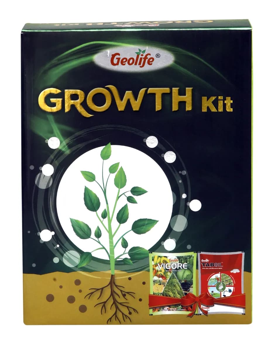 Geolife Growth Kit 450GM (Vigore 250gms + Tabsil 200gms), 100% Water-Soluble