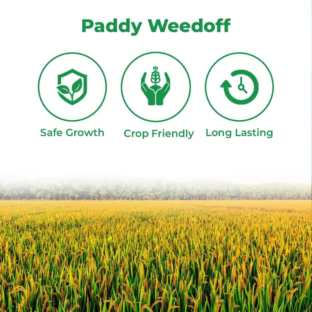 UPL Saathi Herbicide - Image 3