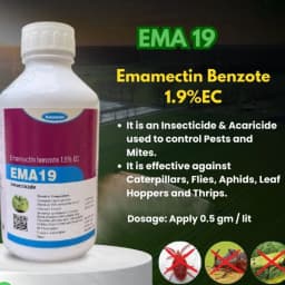 Katyayani EMA19 Emamectin Benzoate 1.9% EC Insecticide, Contact and Systemic Action 2