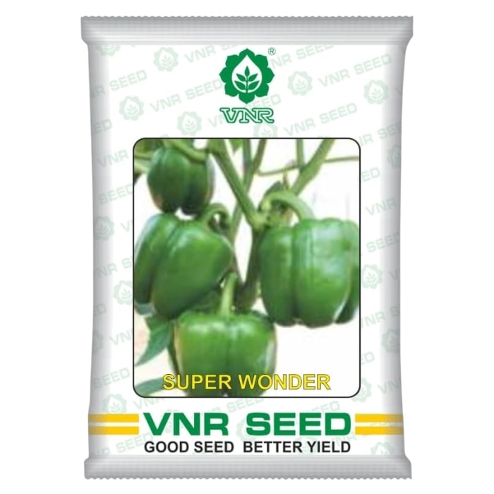 VNR SUPER WONDER Capsicum Seeds, Shimla Mirch