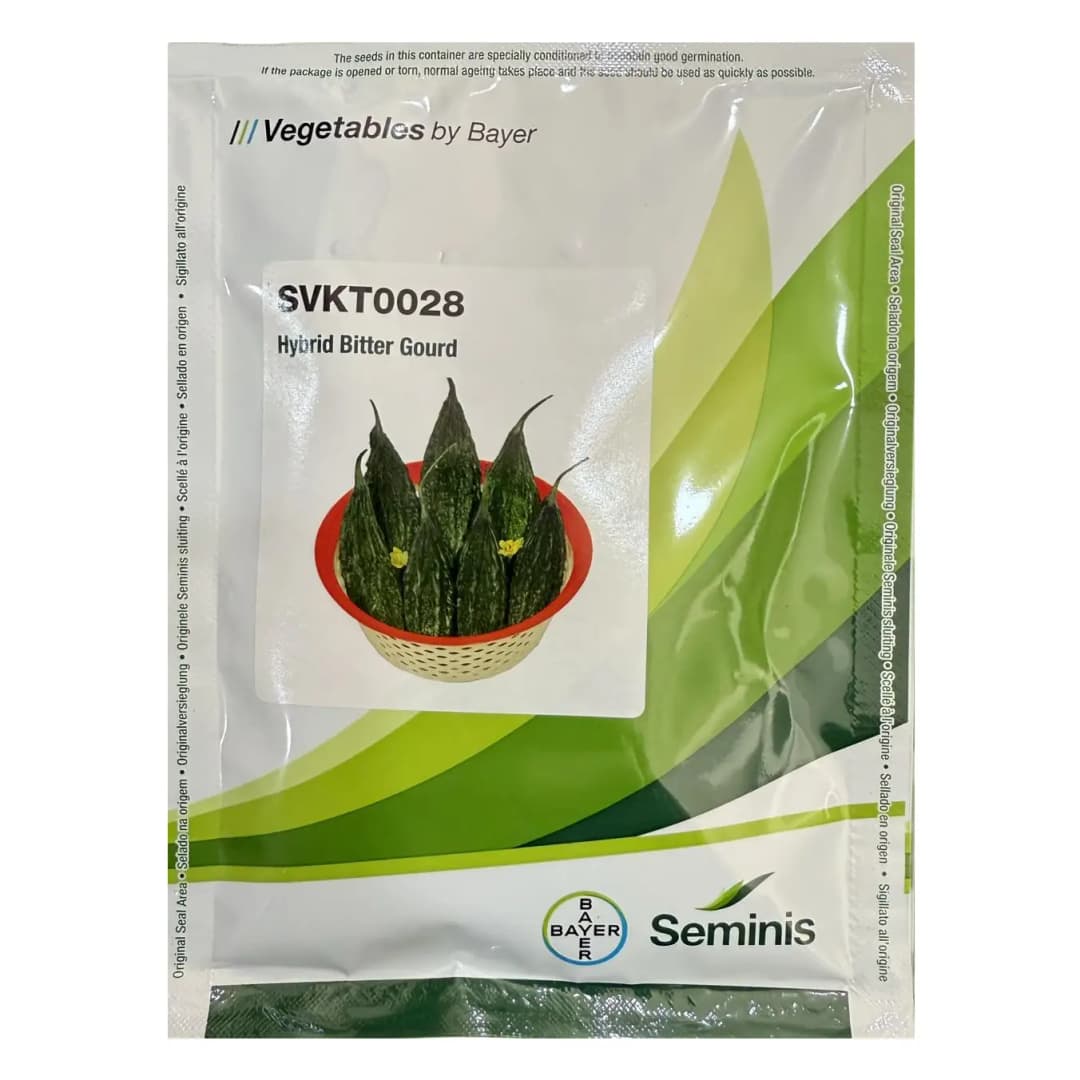 Seminis SVKT0028 Hybrid Bitter Gourd Seeds, High-Quality, Early Harvest, Good Shelf Life And Yield