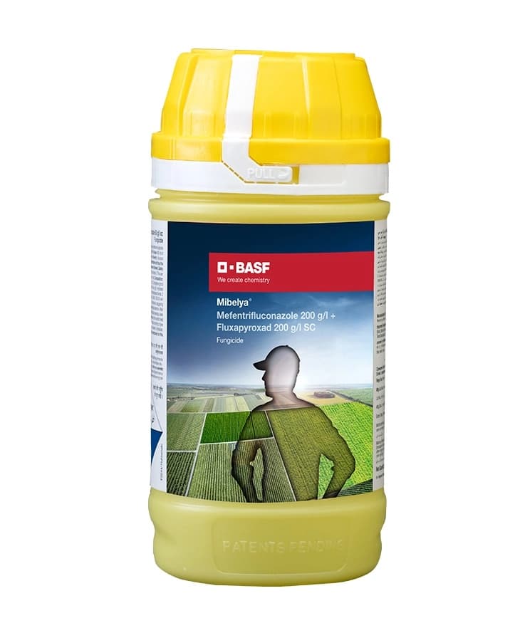 BASF Mibelya Fungicide, Effective For Sheath Blight Control In Paddy Crops - Image 1