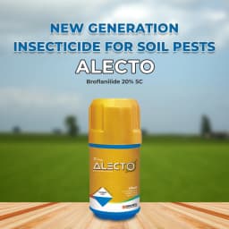 Indofil Alecto Broflanilide 20% SC Contact and Translaminar Insecticide, Control On Lepidopteran Pests 2