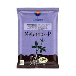 Utkarsh Metarhoz-P (Metarhizium Anisopliae 1% W.P.) Bio Pesticide, Controls Effective Pests and Improves Soil & Crop Health 1