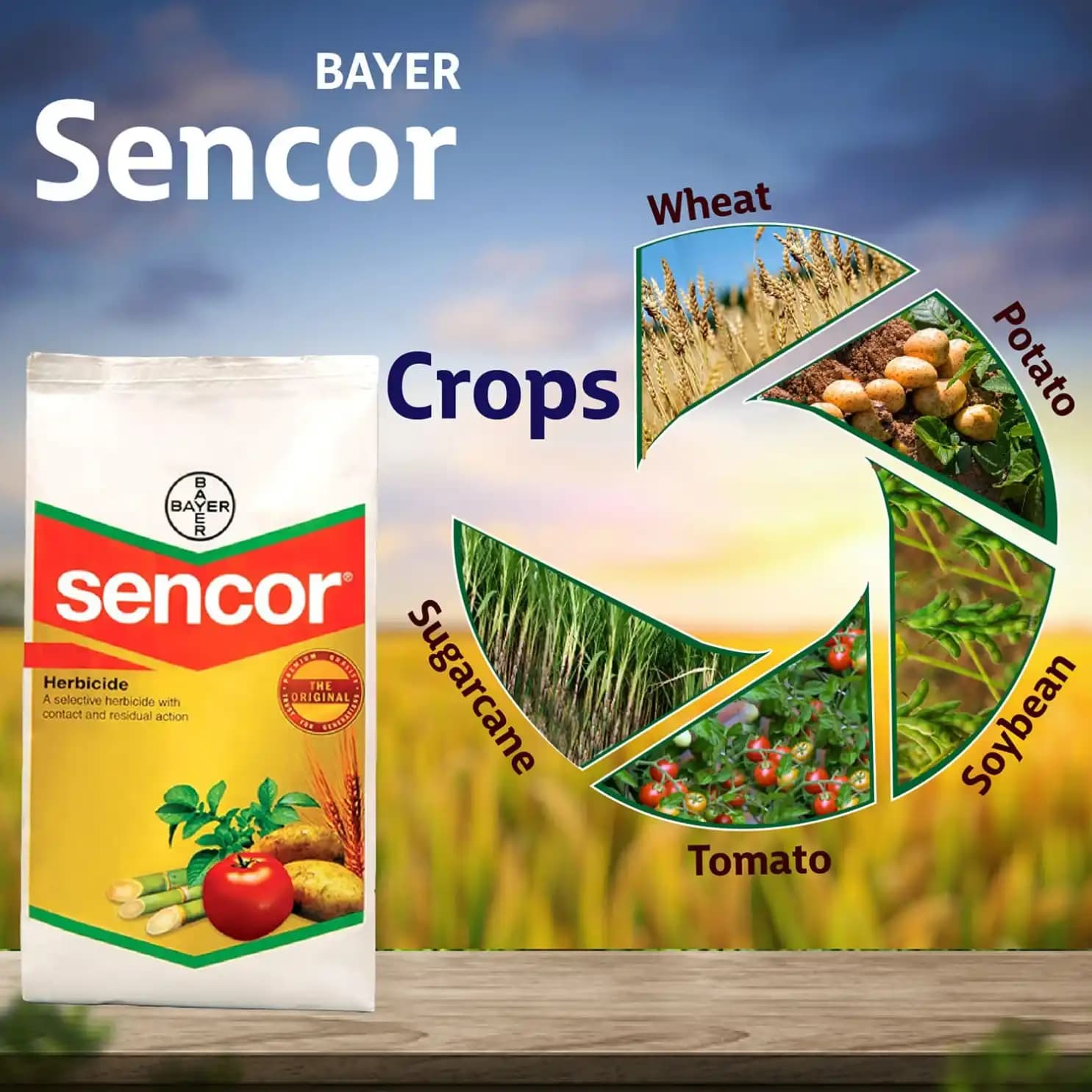 Bayer Sencor Herbicide - Image 6