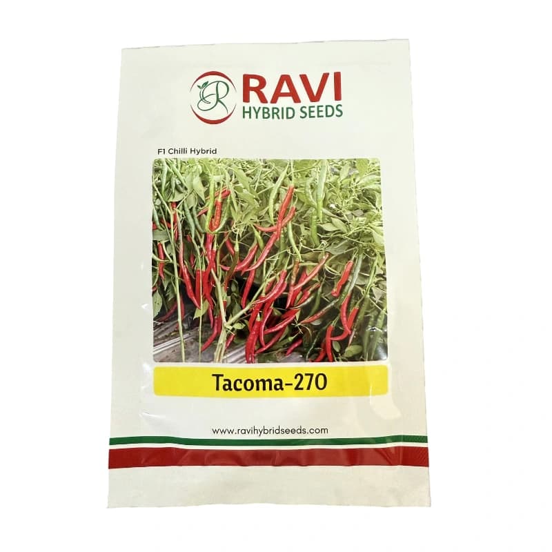 Ravi Tacoma-270 Hybrid Chilli Seeds, Dual Purpose Variety, Dark Red, High Pungency