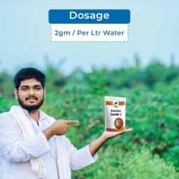 Compo Expert Fetrilon Combi 2 Micronutrient Fertilizers, For The Preventive And Curative Treatment, Foliar Application 5