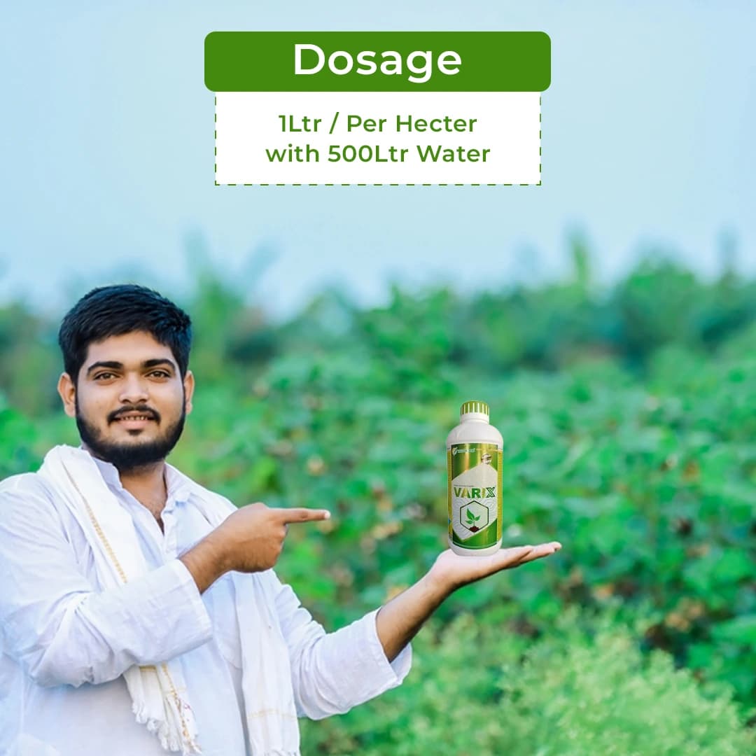 Willowood VARIX Difenoconazole 6% + Validamycin 6% SC Fungicide, Controls Broad Spectrum of Fungal and Bacterial Diseases - Image 5