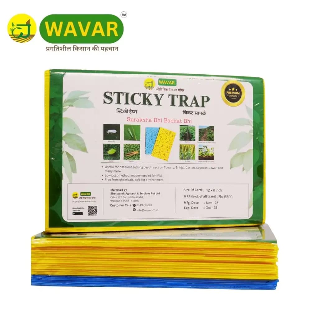 WAVAR Sticky Trap A5 Size, 20 Yellow And 5 Blue Combo, 6 x 8 Inch, 3mm Thickness, Eco Friendly Pest Control Solution - Image 6
