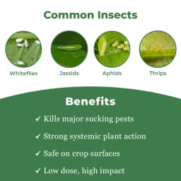 Katyayani K-Acepro Insecticide - Acetamiprid 20% SP 3