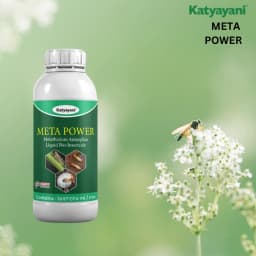 Katyayani Meta Power Metarhizium Anisopliae, Liquid Bio Insecticide, Effective Against a Broad Spectrum of Insects 2