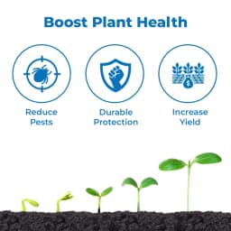TATA Rallis Clasto Pyrifluquinazon 20% WG Insecticide, Highly Effective Solution For Controlling Pests 3