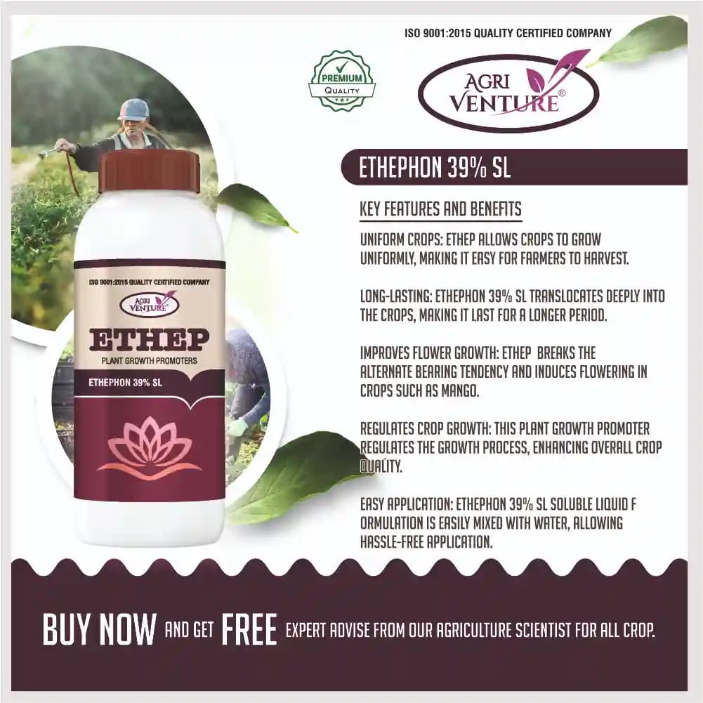 Agriventure ETHEP Ethephon 39% SL Plant Growth Promoters, Effective For Fruit And Vegetable Crops - Image 3
