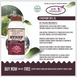 Agriventure ETHEP Ethephon 39% SL Plant Growth Promoters, Effective For Fruit And Vegetable Crops 3