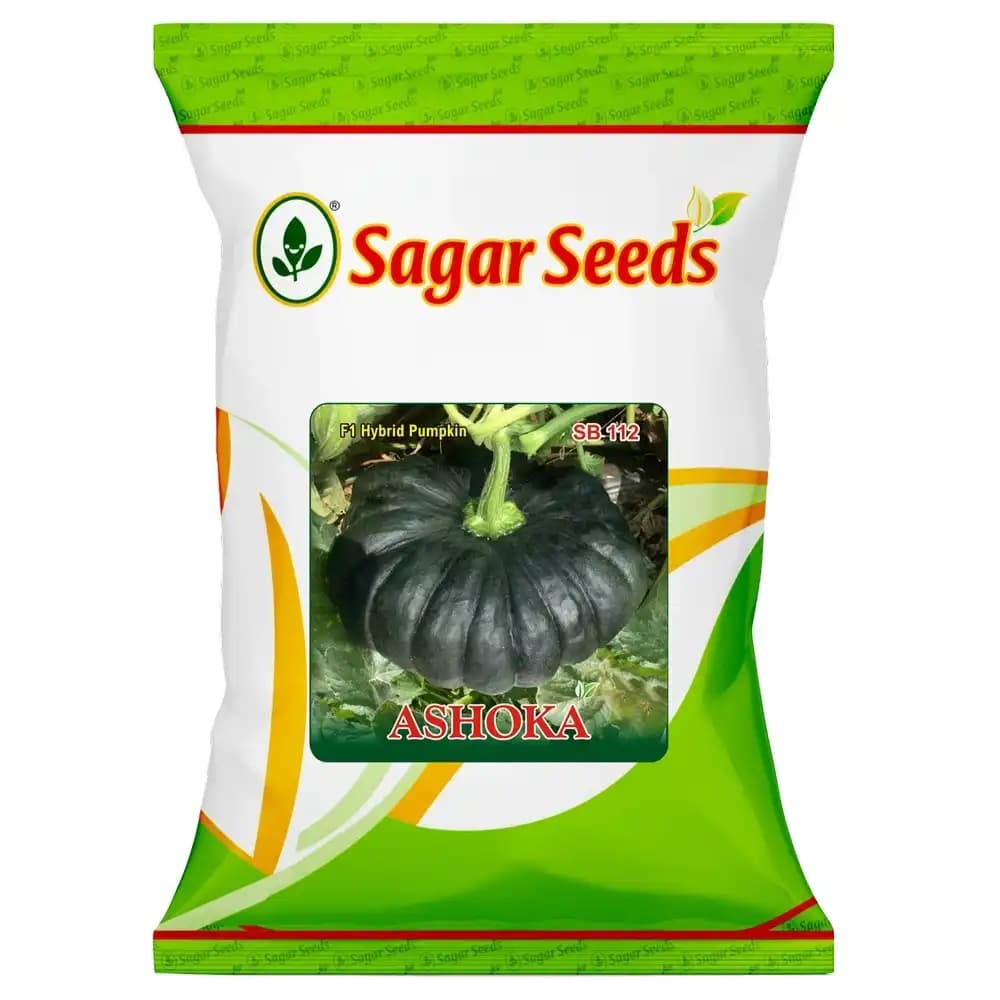 Sagar Ashoka F1 Hybrid Pumpkin Seeds, High Yield, Flat Round, For Kharif and Summer Season - Image 1