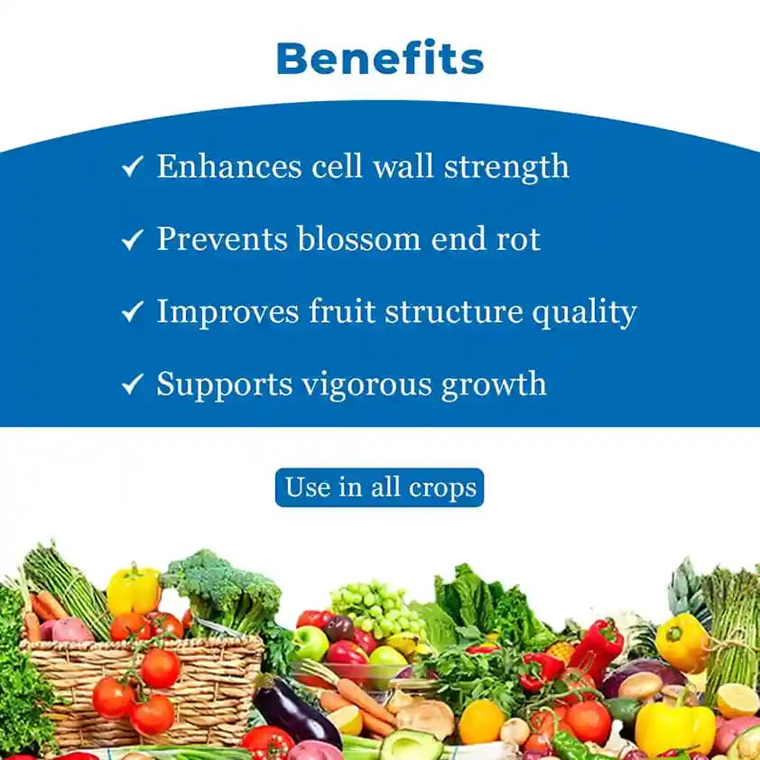Zinc Easy Zn-EDTA 12% Quickly soluble in water, Helps in Grain Formation, Micro Nutrient Fertilizer - Image 4