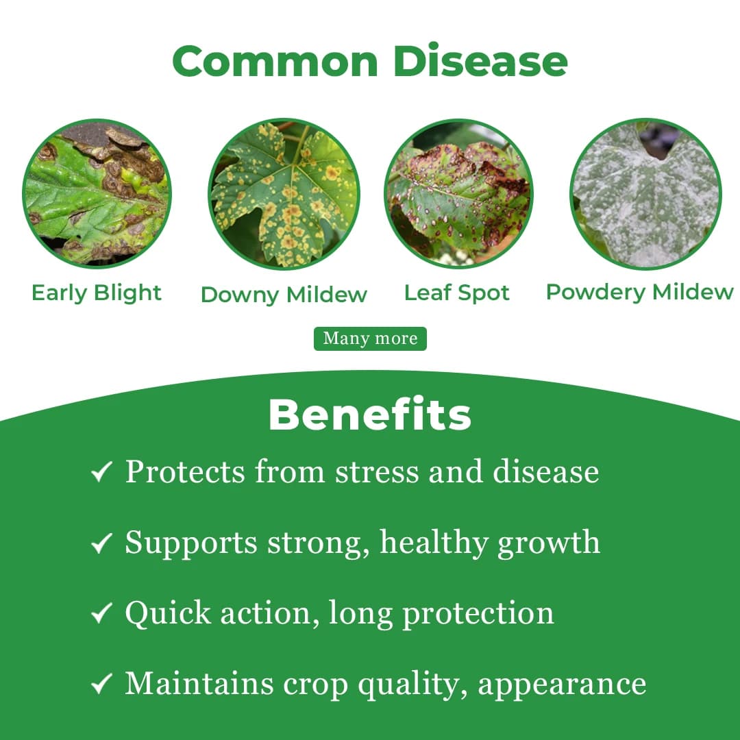 Shriram CARZEB Carbendazim 12% + Mancozeb 63% WP Fungicide, Effective For Fruits, Vegetables And Field Crops - Image 3