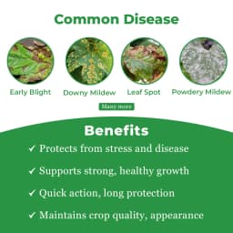 Shriram CARZEB Carbendazim 12% + Mancozeb 63% WP Fungicide, Effective For Fruits, Vegetables And Field Crops 3