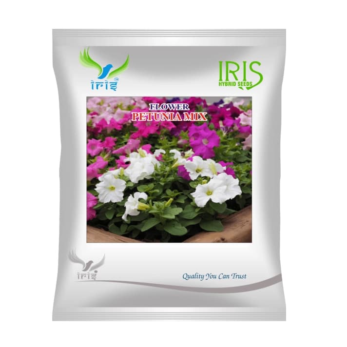 Iris Petunia Mix Hybrid OP Flower Seeds, Imported, Ideal For Compact And Colorful Flower Plants