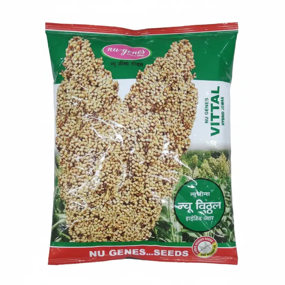 NU VITTAL Hybrid Jowar Seeds, High Yielding And Bold Grain Variety - Image 1