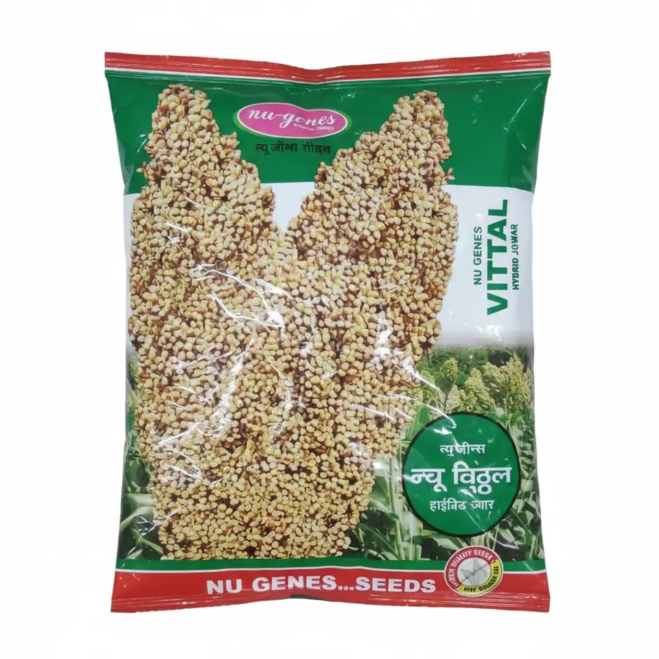 NU VITTAL Hybrid Jowar Seeds, High Yielding And Bold Grain Variety