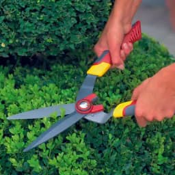 Wolf Garten Hedge Shears (HS-B), Specially Designed To Be Used On Box Trees And Other Topiary Plants 1
