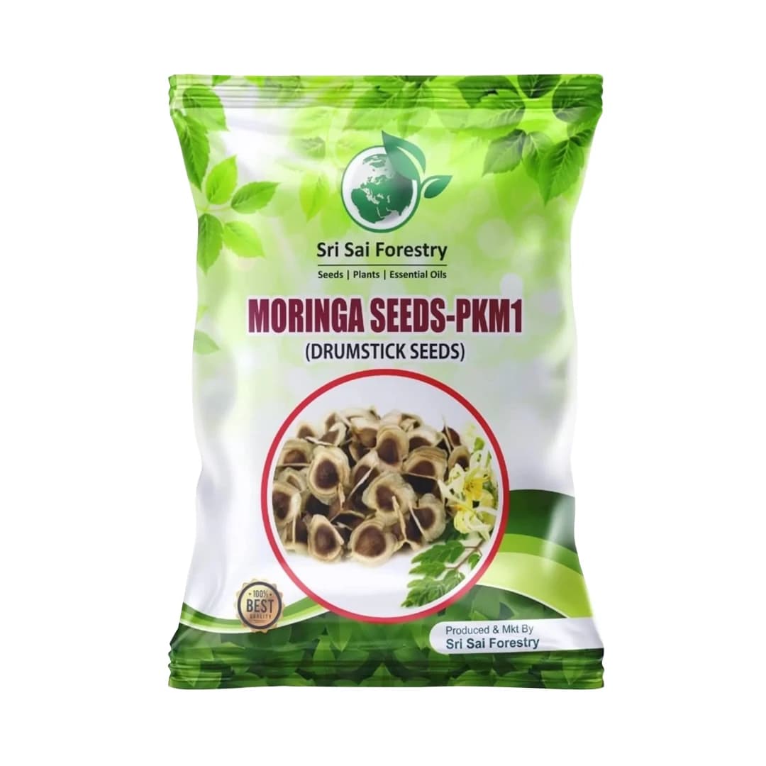 SRI SAI FORESTRY Natural Drumstick Seeds, Moringa Tree Seeds, Miracle Tree Seeds, Horseradish Tree Seed - Image 1