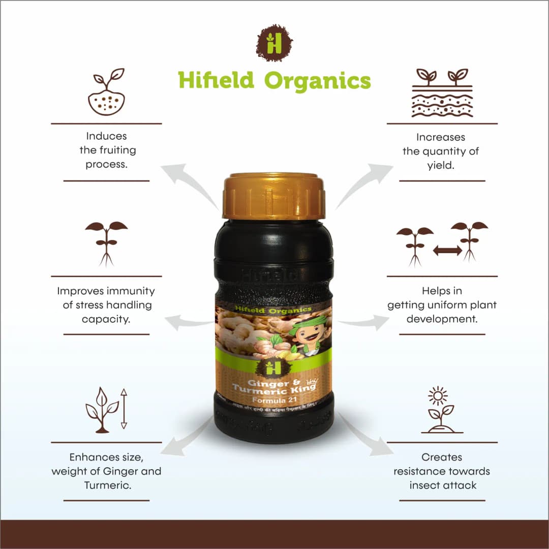 Hifield Ginger and Turmeric King Growth Promoter, Weight and Size Increase for Ginger and Turmeric. - Image 2