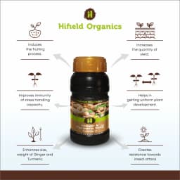 Hifield Ginger and Turmeric King Growth Promoter, Weight and Size Increase for Ginger and Turmeric. 2