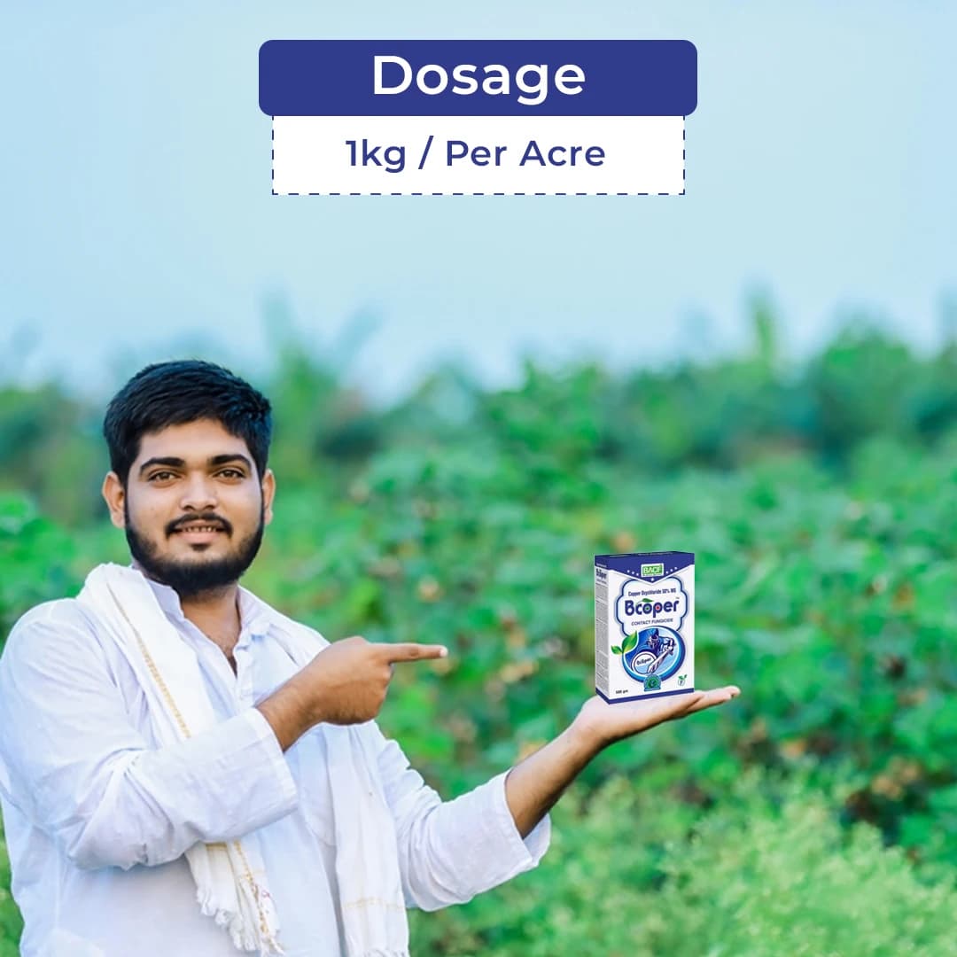 BACF Bcoper Copper Oxychloride 50% WG, Contact Action, Broad Spectrum Fungicide - Image 5