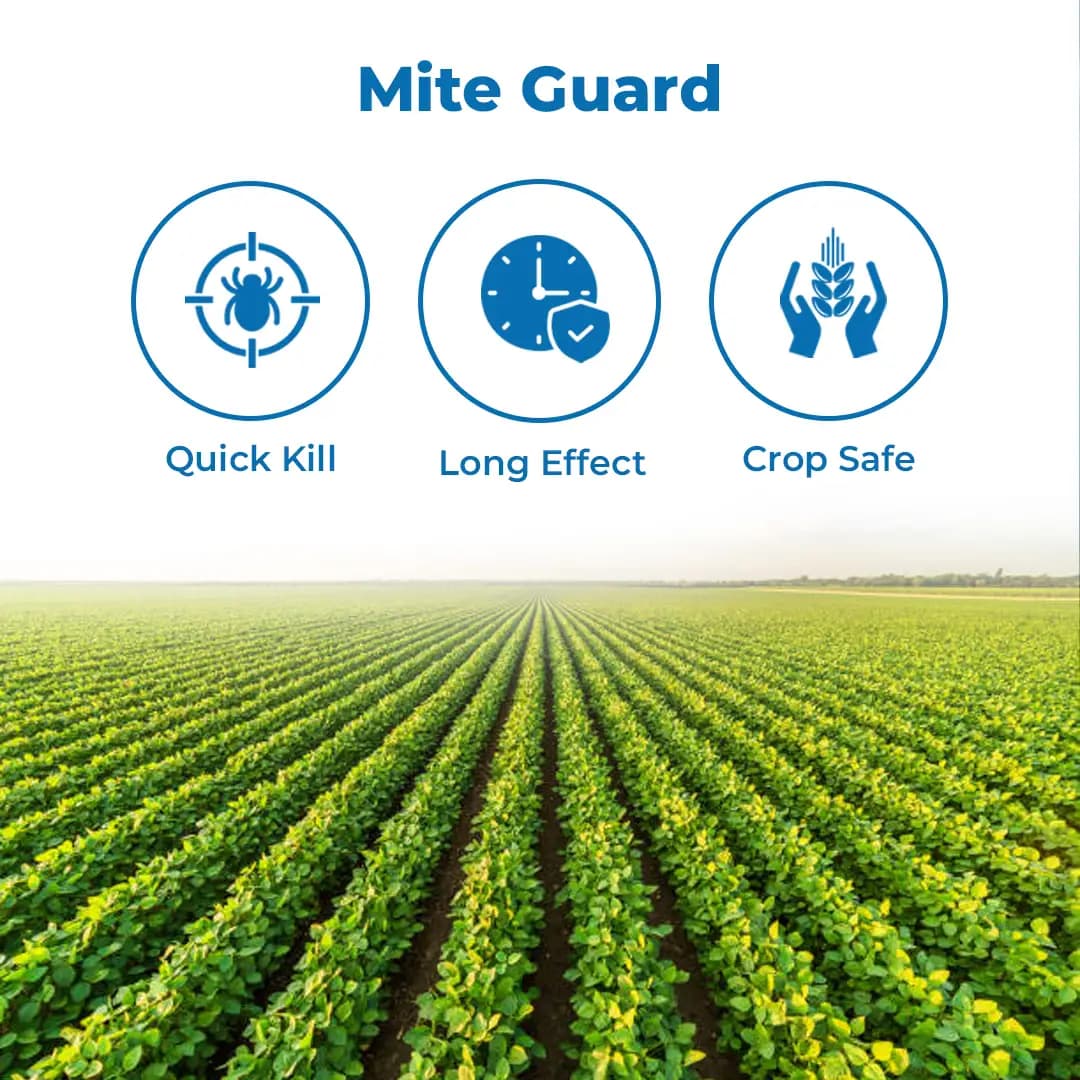 Indofil Ceasemite Propargite 42% + Hexythiazox 2% EC Insecticide, Effective Complete Mite Control in Crops - Image 3