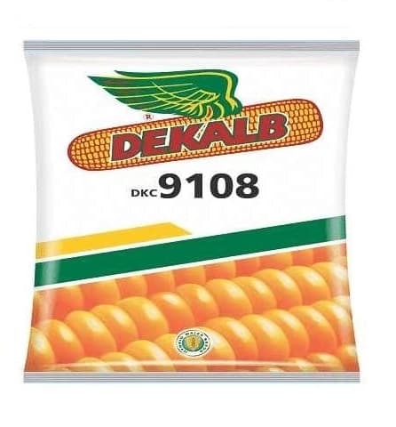Bayer Dekalb Corn DKC 9108 Seed, High Yielding Spring Hybrid, Corn Seeds