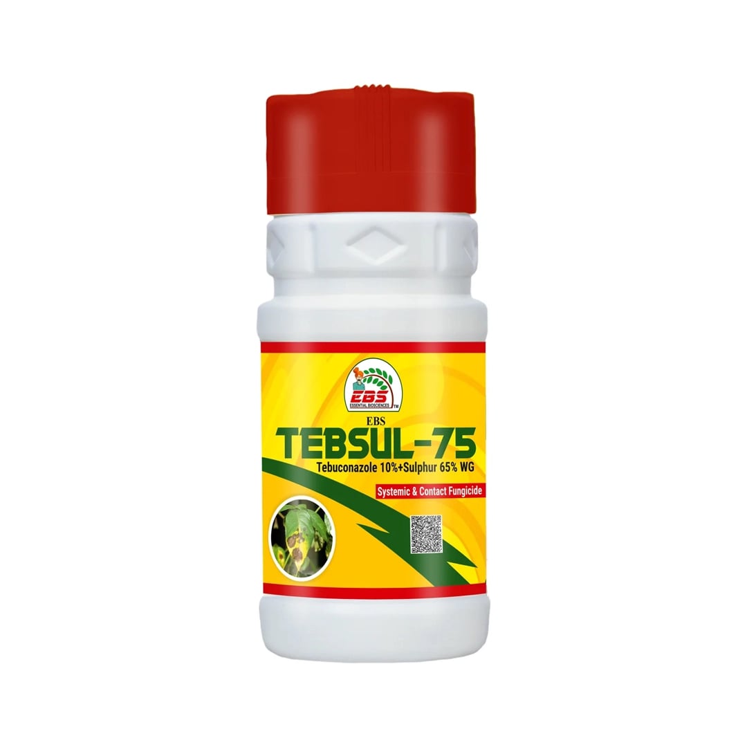 EBS Tebsul-75 Fungicide