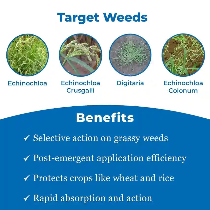 Bayer Whip Super Herbicide - Image 3
