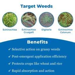 Bayer Whip Super - Fenoxaprop-p-ethyl 9.3% EC , It is a Post-Emergent Herbicides 3