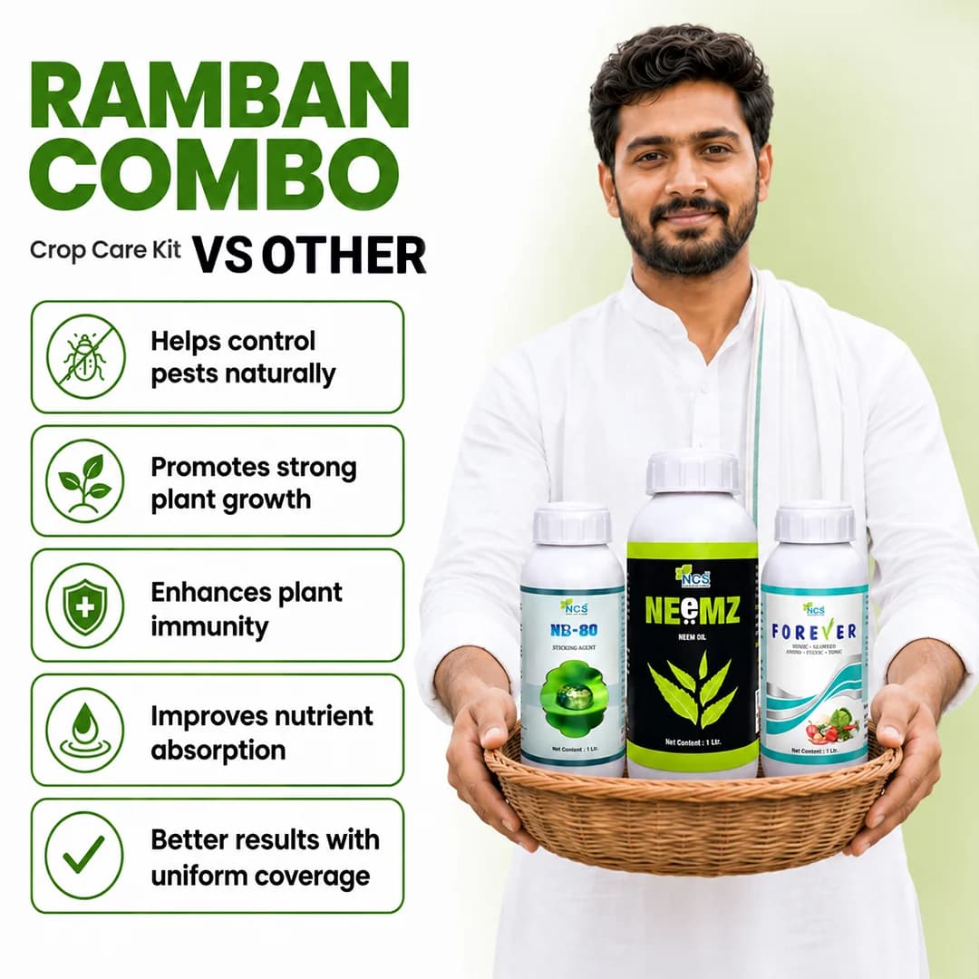 ராம்பன் காம்போ (நீம்ஸ் 500 ML + ஃபாரெவர் 500 ML + NB-80 250 ML) எந்த பயிரிலும் ஆரம்ப வளர்ச்சி நிலைக்கு - Image 9