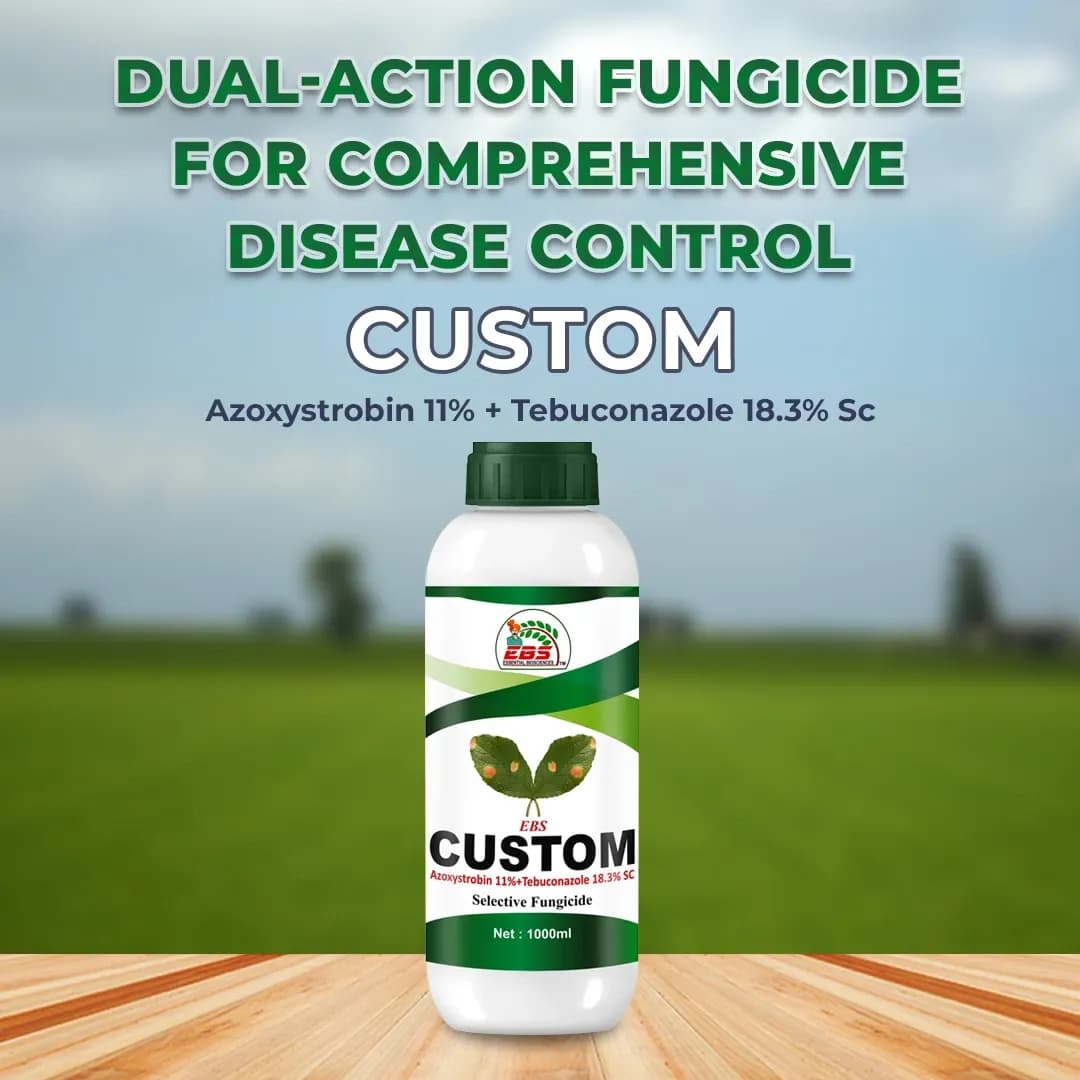 EBS Custom - Azoxystrobin 11% + Tebuconazole 18.3% Sc Fungicide, Control On Multiple Stages Of Fungal Infection - Image 2