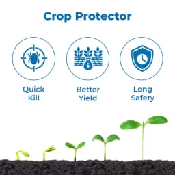 Onion Special Combo Pack for Initial Stage (Boxam 250 Gm + Carman 500 Gm + Aminox 500 ML) Sucking Pest, Purple Blotch Control & Overall Plant Growth 3