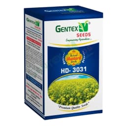 Gentex HD-3031 F1 Hybrid Mustard Seeds, Sarson Ke Beej, Sarsav Na Bee, Good Germination Quality 1