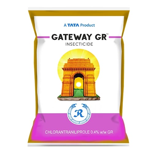 Tata Rallis Gateway GR Chlorantraniliprole 0.4% GR Insecticide, Effective Control Stem Borer In Paddy & Sugarcane Crop