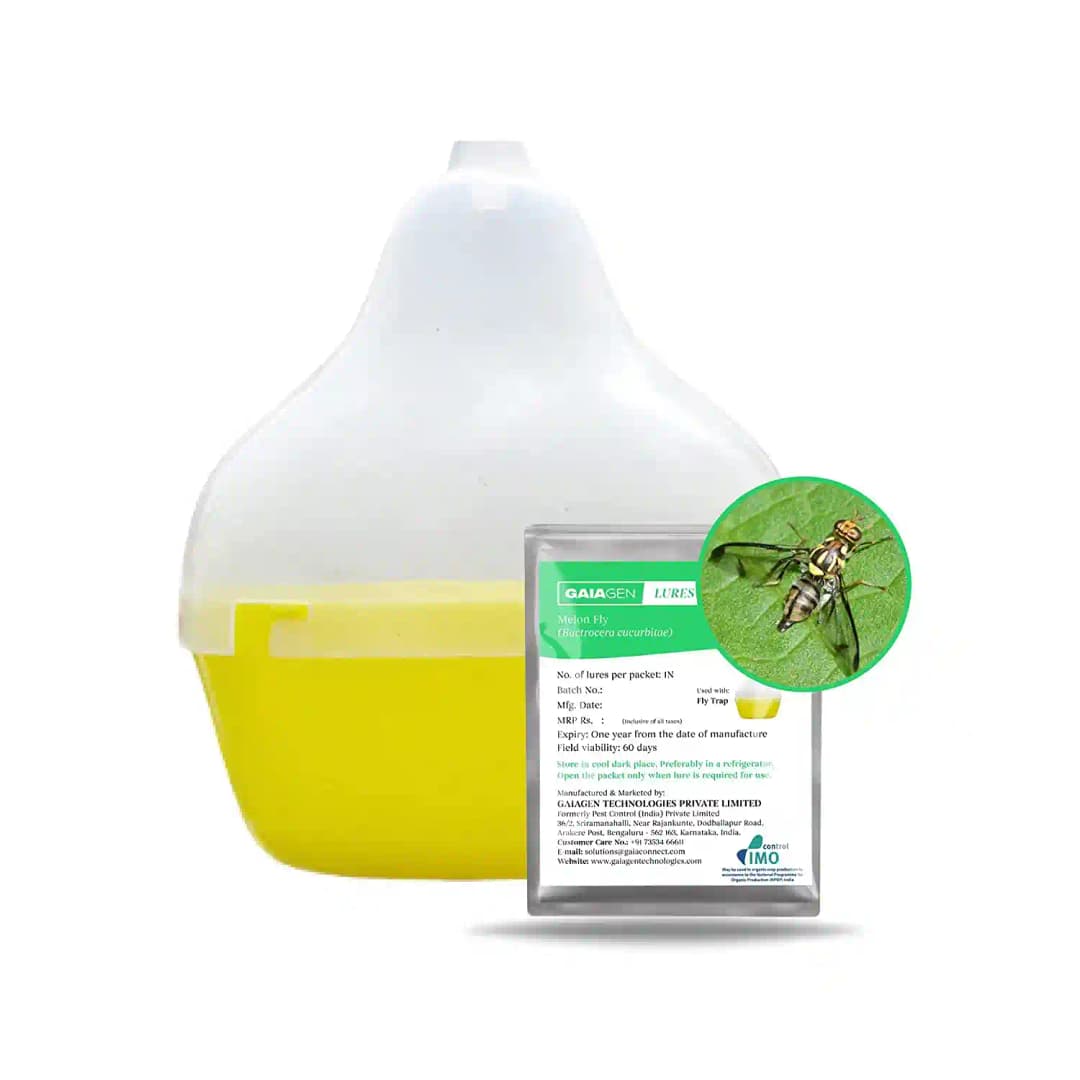 Gaiagen Pheromone Lure For Melon Fly (Bactrocera Cucurbitae) And Insect Fly Trap, IMO Certified. - Image 2
