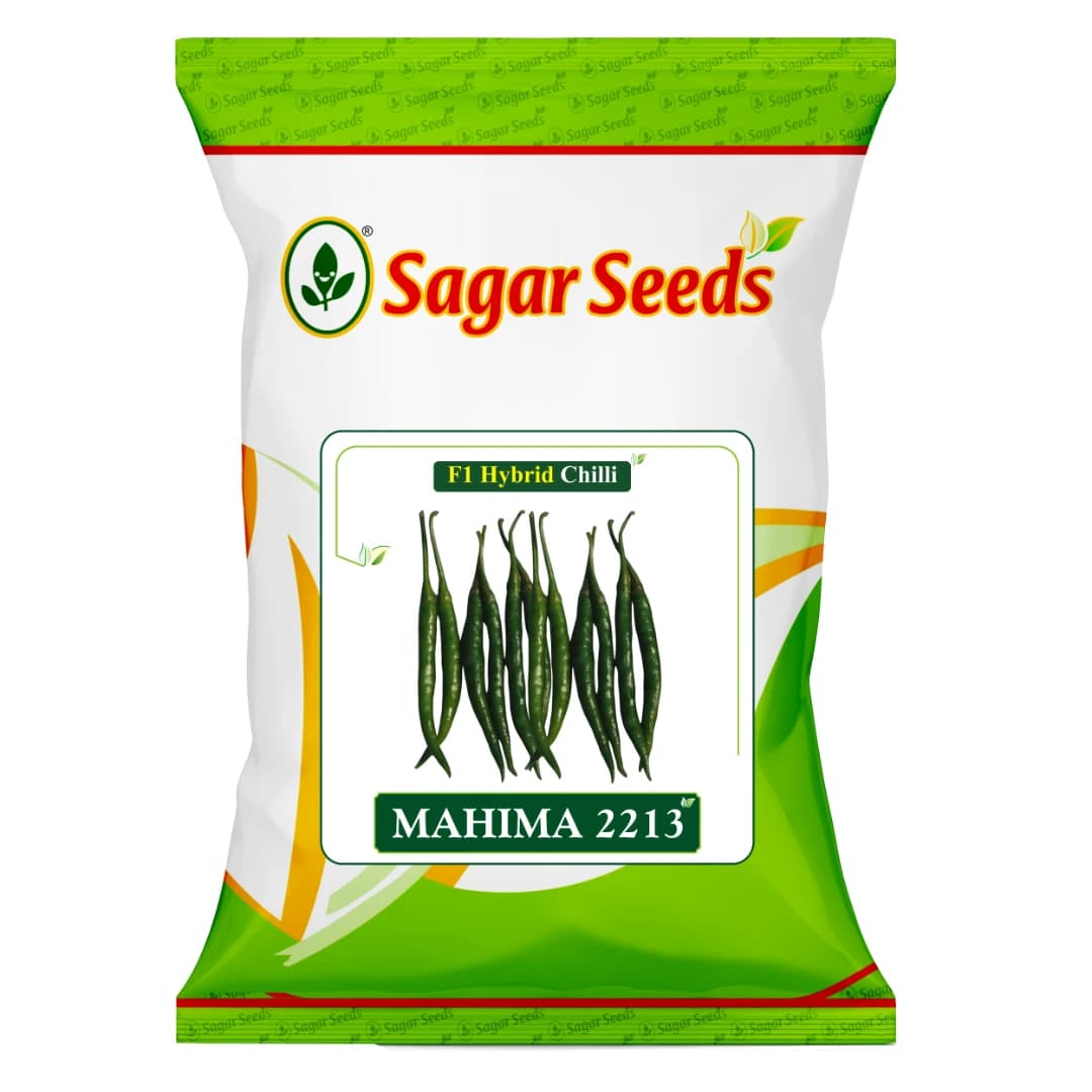 Sagar Mahima 2213 F1 Hybrid Chilli Seeds, High Yield, Vibrant Color, Strong Disease Resistance, High Pungency