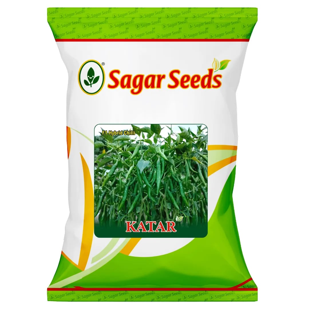 Sagar Katar Chilli Seeds - (Mirchi Seeds) High Pungency, Dark Shiny Green And Red, High Yield, Pest Resistant
