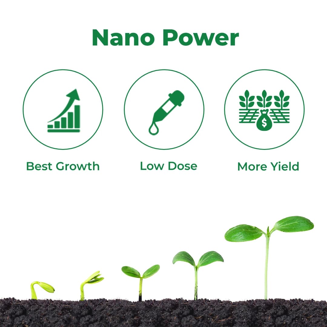 Coromandel GROMOR Nano DAP Fertilizer, These Nutrients Into Nano Polymers Capsules Or Nano Clay Material - Image 3