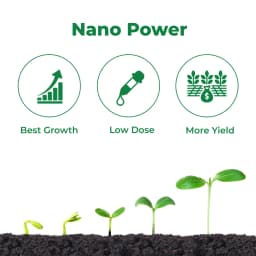 Coromandel GROMOR Nano DAP Fertilizer, These Nutrients Into Nano Polymers Capsules Or Nano Clay Material 3