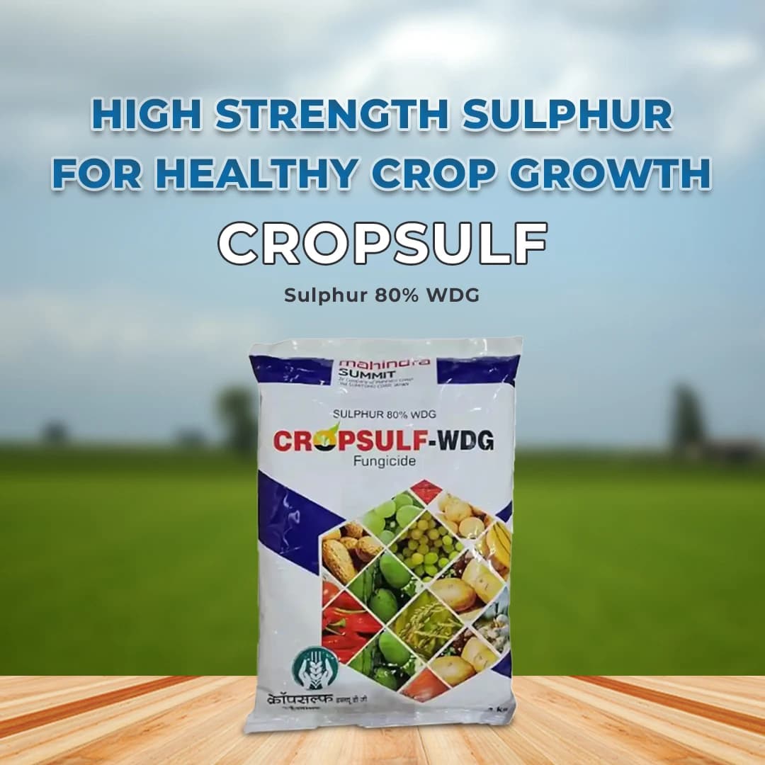 Mahindra Summit Cropsulf Sulphur 80% WDG Fungicide, Protection to Crops From Fungal Diseases. - Image 2